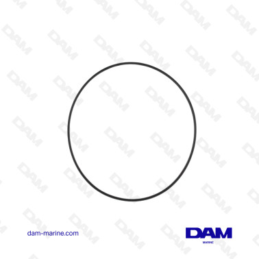 O-RING DI MERCURIO