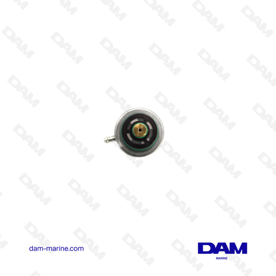 FUEL PRESSURE REGULATOR MPI - GXI