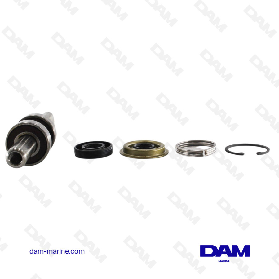 KIT ARBRE - JOINTS POMPE MPI MERCURY