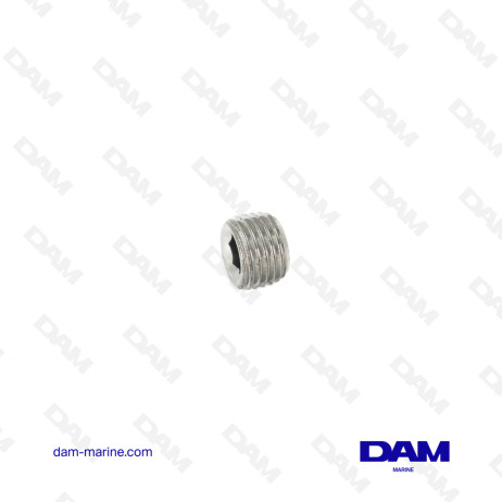 BOUCHON FEMELLE 1/4 NPT