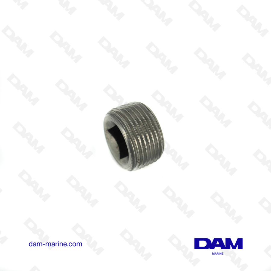 BOUCHON FEMELLE 3/4 NPT