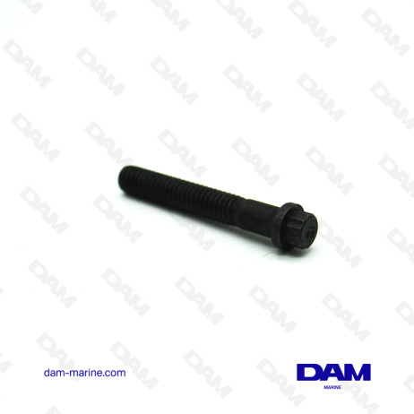 OIL CARTER SCREW 5/16-18X2 HD