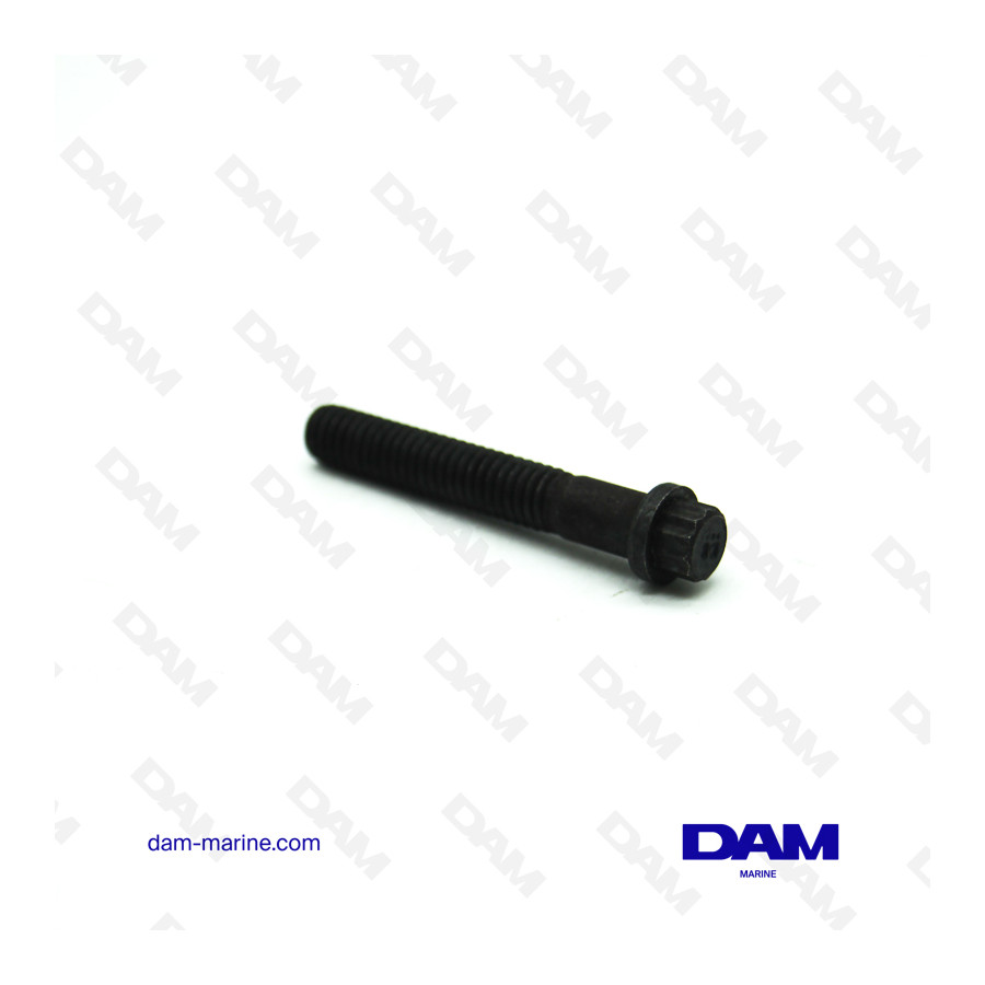 OIL CARTER SCREW 5/16-18X2 HD