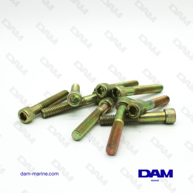 OIL CARTER SCREW 5/16-18X2 BTR