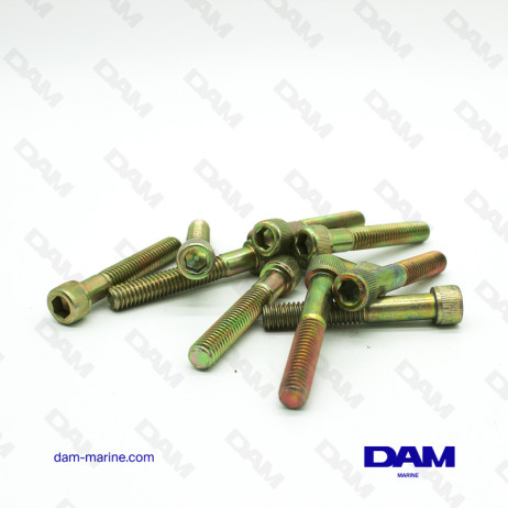 TORNILLO CARTER ACEITE 5/16-18X2 BTR