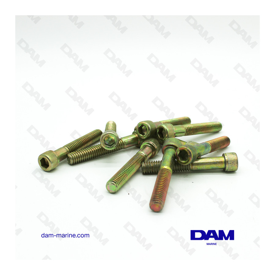 OIL CARTER SCREW 5/16-18X2 BTR