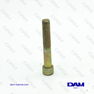 OIL CARTER SCREW 5/16-18X2 BTR