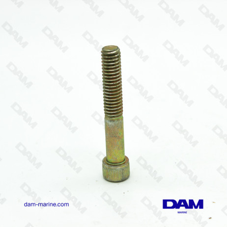 OIL CARTER SCREW 5/16-18X2 BTR