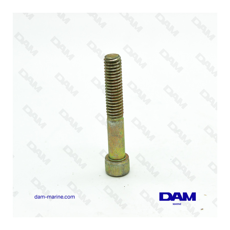 OIL CARTER SCREW 5/16-18X2 BTR