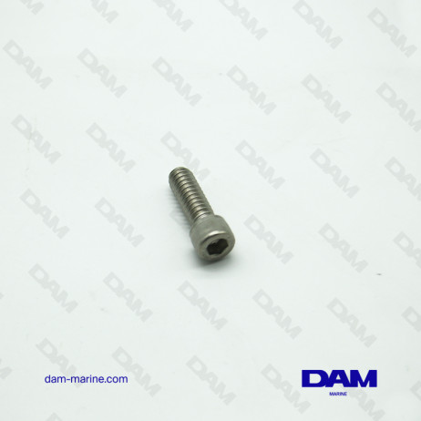 VOLVO WATER INTAKE BASE SCREW