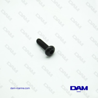 VOLVO 6P VALVE COVER SCREW