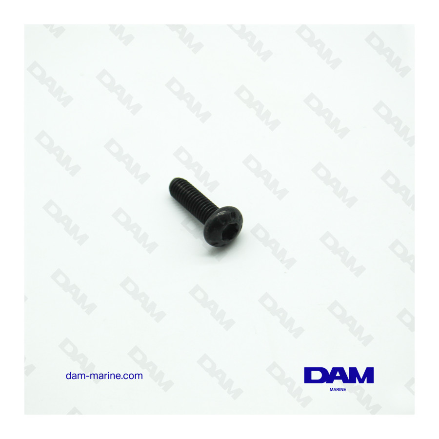VOLVO 6P VALVE COVER SCREW