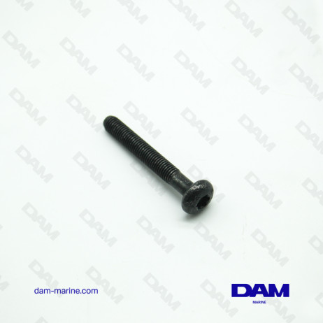 TORNILLO DE LA TAPA DEL BALANCÍN VOLVO 6P