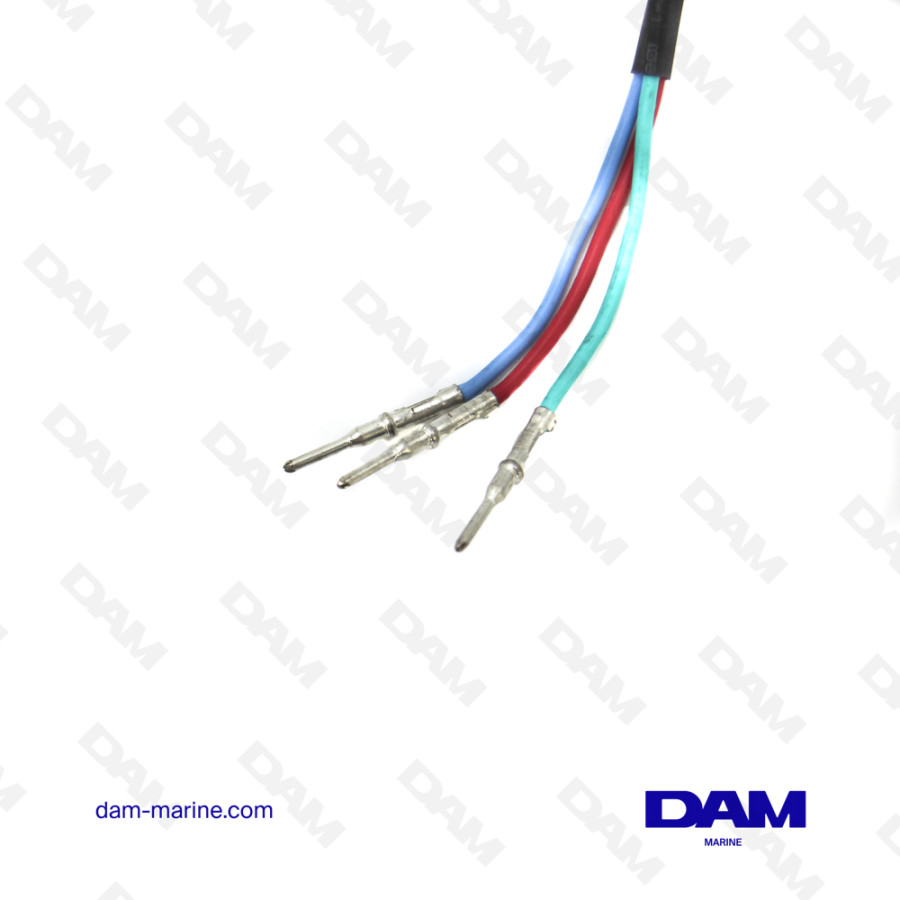 BRP TRIM SWITCH