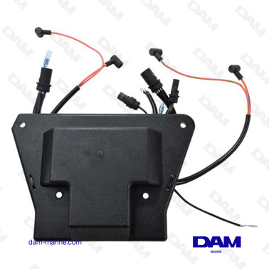 SCATOLA ELETTRONICA BRP