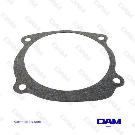 BRP PUMP SEAL 0338484