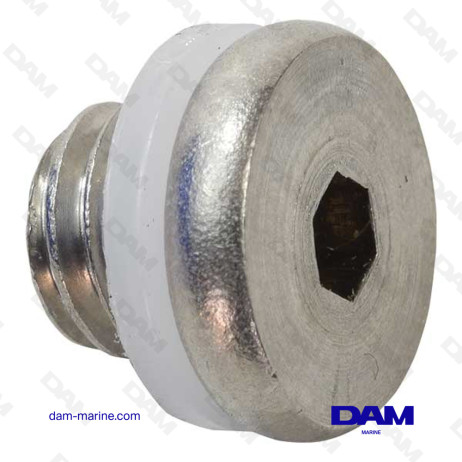 BRP 0307551 BLEED SCREW