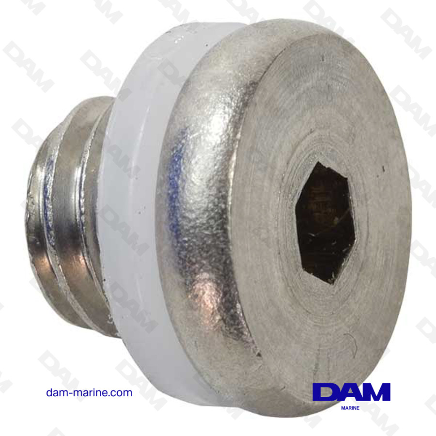 BRP 0307551 BLEED SCREW