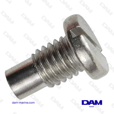 MERCURY DRAIN PLUG 25-95632010