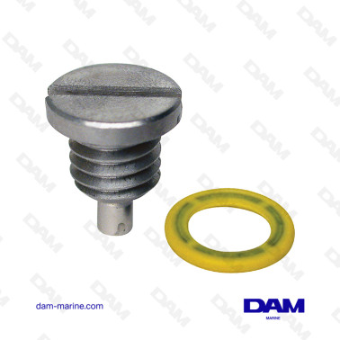 MERCURY DRAIN PLUG AND GASKET