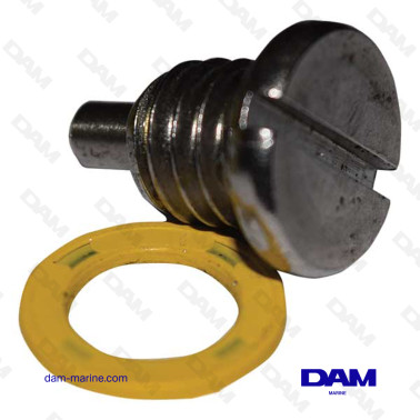 MERCURY DRAIN PLUG AND GASKET