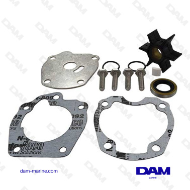 KIT DE BOMBA DE AGUA BRP...