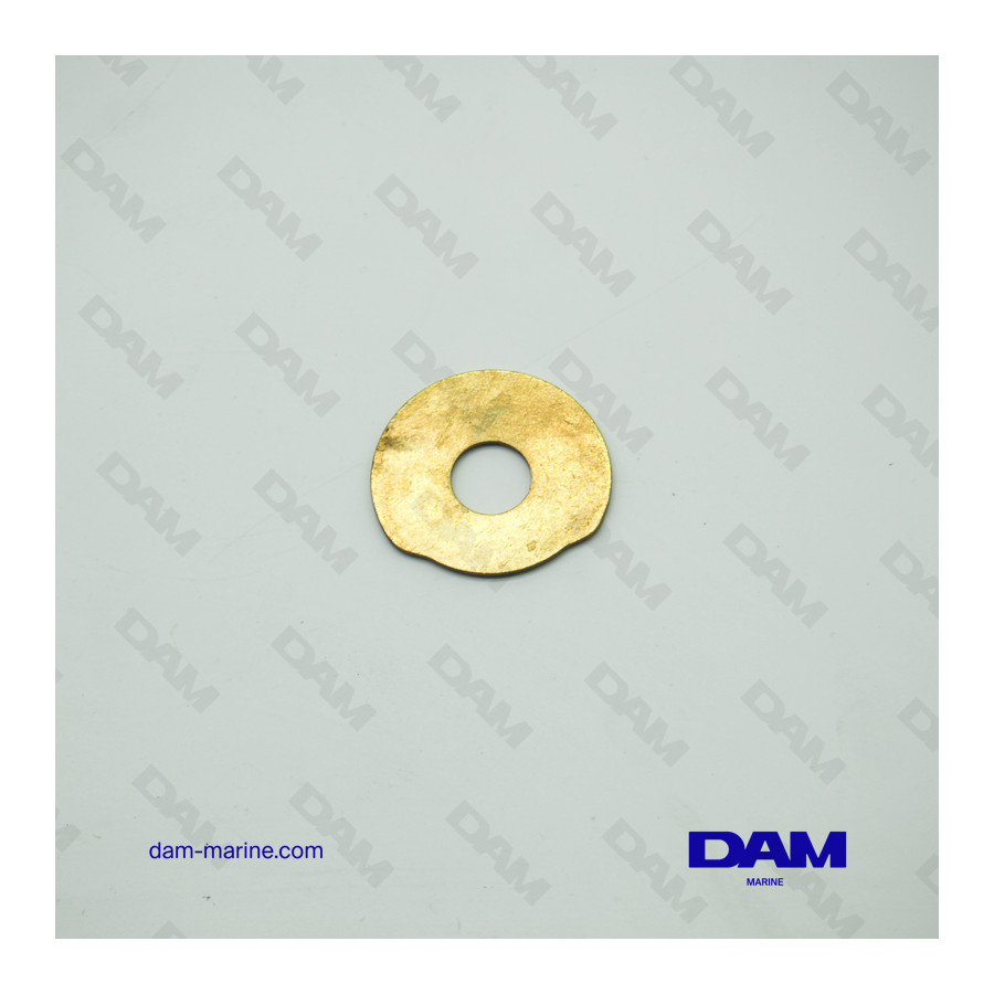 SEAWATER PUMP WASHER