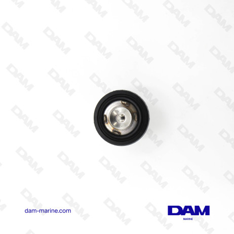 THERMOSTAT YAMAHA 50°C