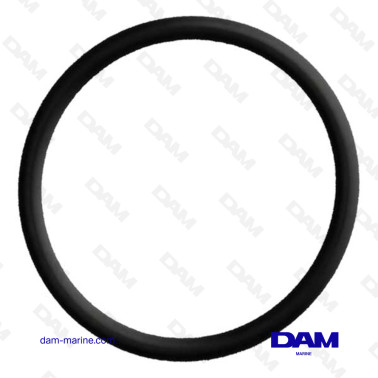 THERMOSTAT GASKET BRP 0301917