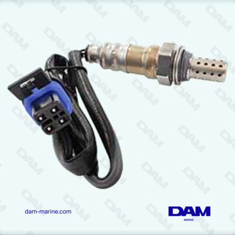 CATALYTIC OXYGEN PROBE