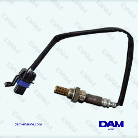 CATALYTIC OXYGEN PROBE