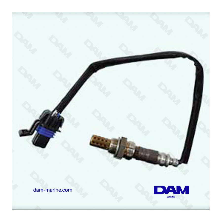 CATALYTIC OXYGEN PROBE