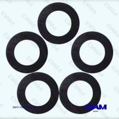 JUNTA DEL TERMOSTATO BRP