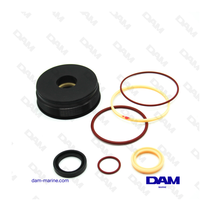 BOUCHON DE VERIN DE TRIM BRP ETEC 75-115