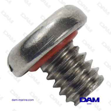 BRP DRAIN PLUG - 0309243