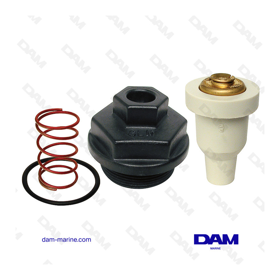 THERMOSTAT KIT CARTER BRP 0435597