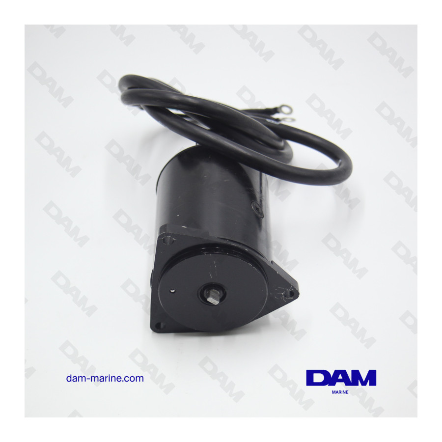 MOTORE YAMAHA 50-60 CV 4T TRIM
