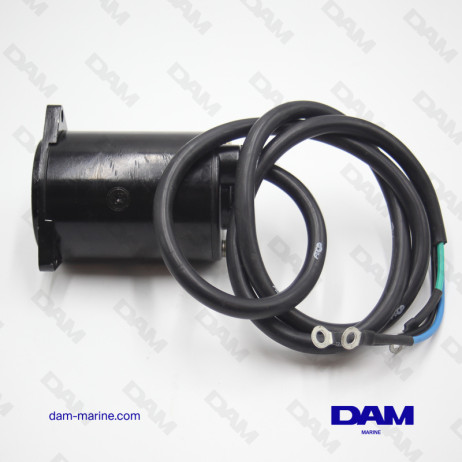 MOTORE YAMAHA 50-60 CV 4T TRIM