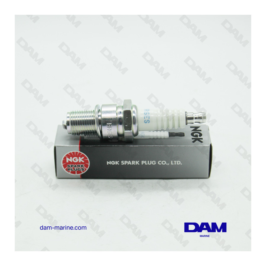NGK BR6ES SPARK PLUG