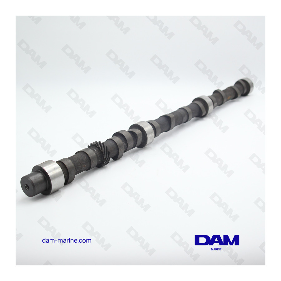 GM250 6 CILINDRI ALBERO A CAMME