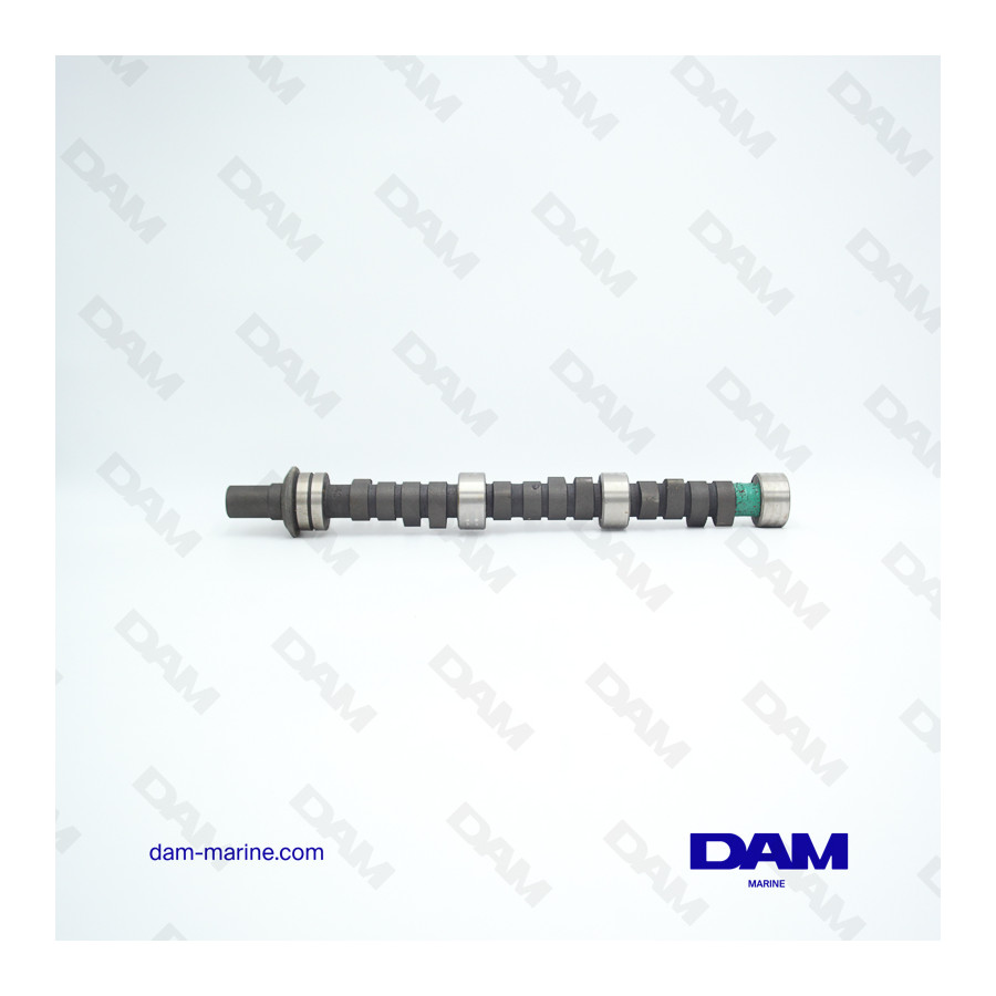 GM225 V6 OMC CAMSHAFT