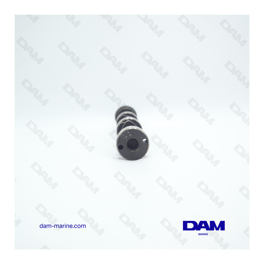 ARBRE A CAMES GM225 V6 OMC