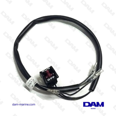 MERCURY CIRCUIT SWITCH...