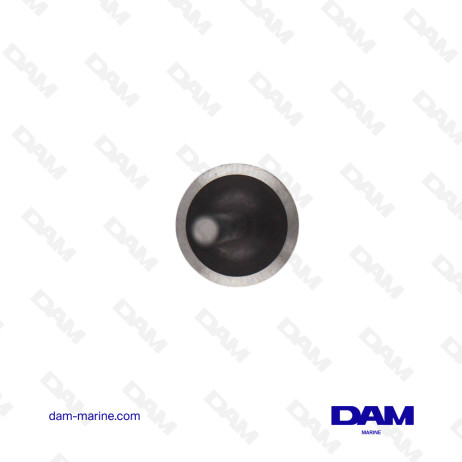 YANMAR 129672-11100 INTAKE VALVE