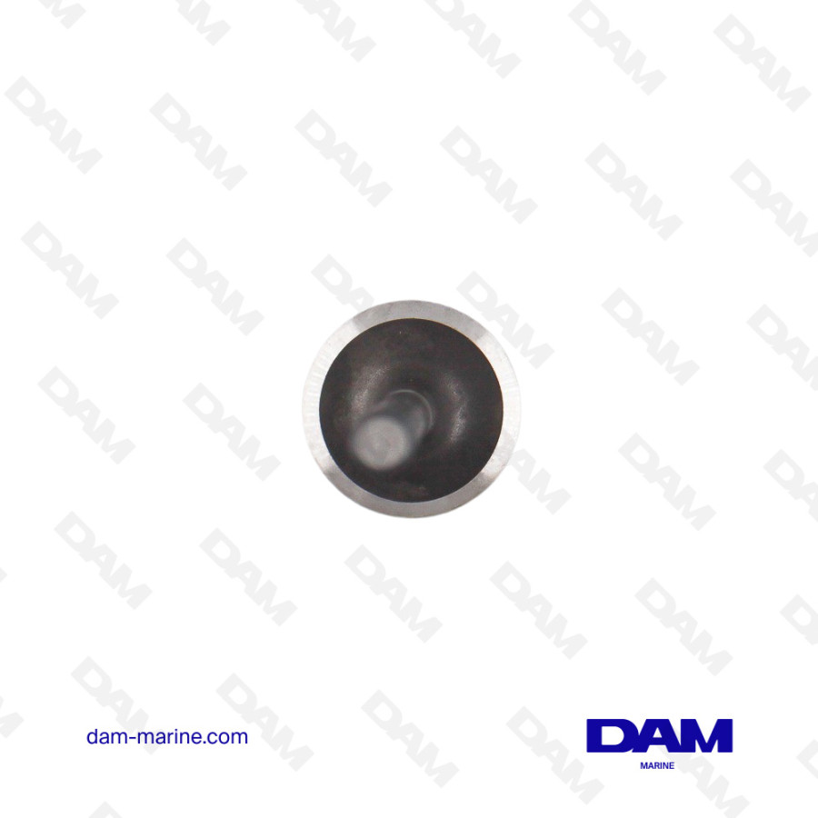 YANMAR EXHAUST VALVE 129672-11110