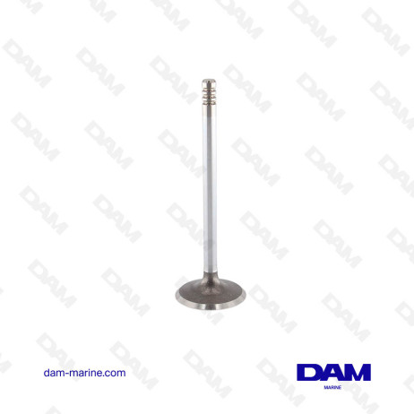 MERCURY INTAKE VALVE