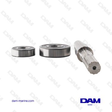 KIT DE EJE DE BOMBA DE AGUA VOLVO D3 - 21951439