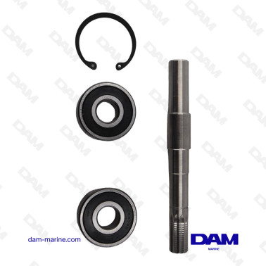 KIT ALBERO POMPA ACQUA...