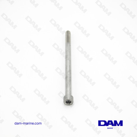 VIS YANMAR M10X160 - 196440-02490