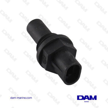 SONDA DI TEMPERATURA BRP...